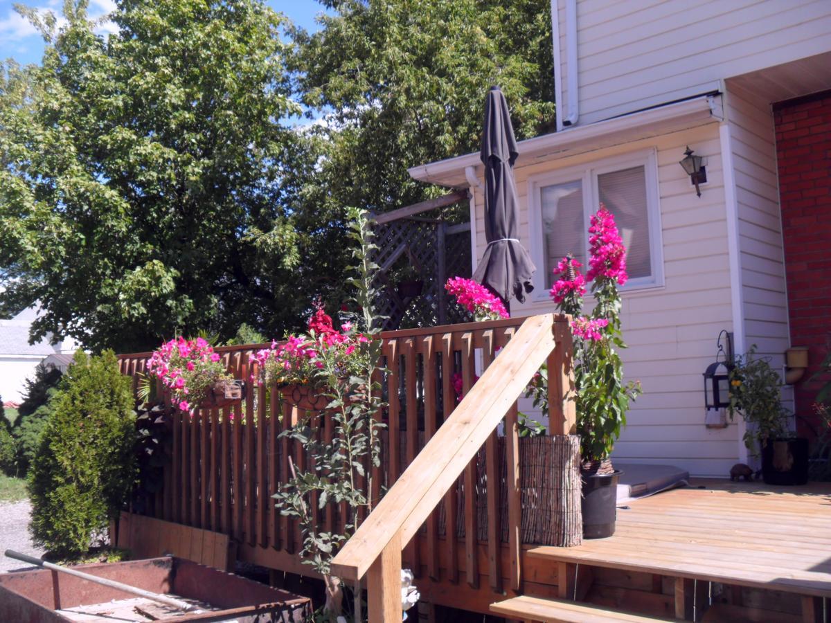 Homestead House B&B Хамилтън Екстериор снимка